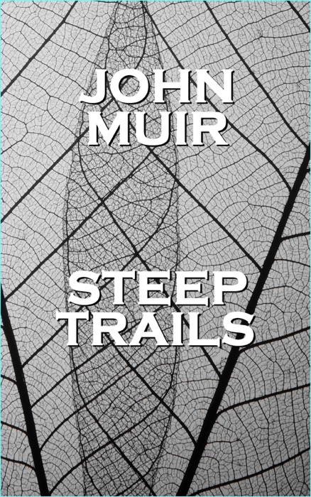 Steep Trails