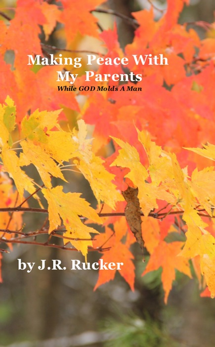 Making Peace With My Parents