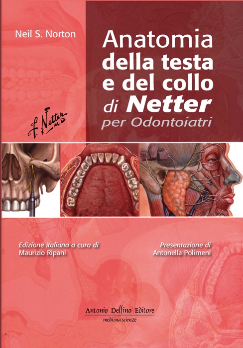 Anatomia della Testa e del Collo di Netter per Odontoiatri