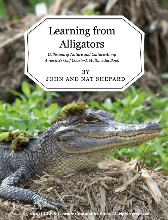 Learning from Alligators