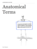 Anatomical Terms - Colin Torrance