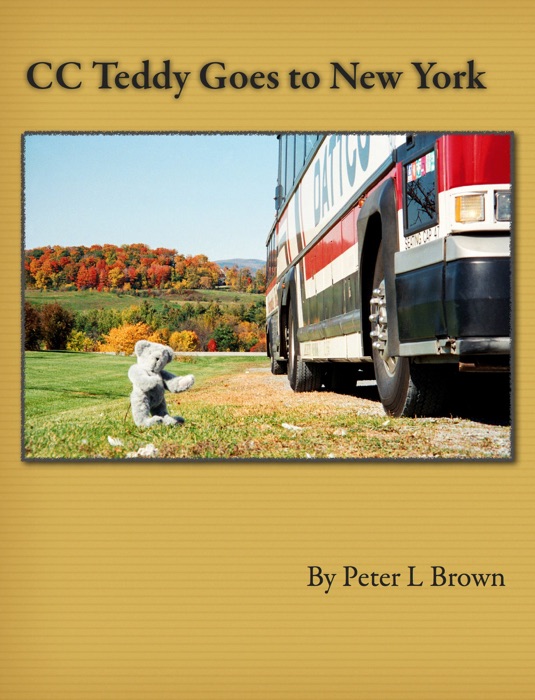 CC Teddy Goes to New York