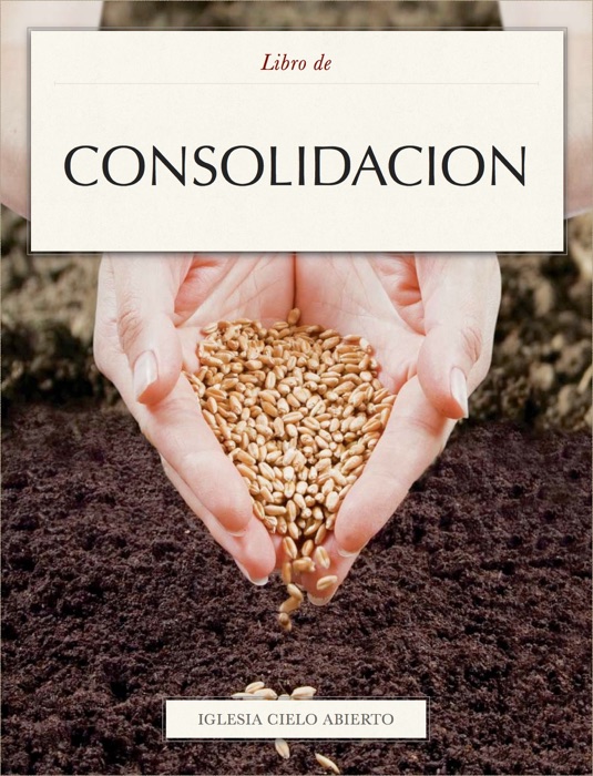 Consolidacion