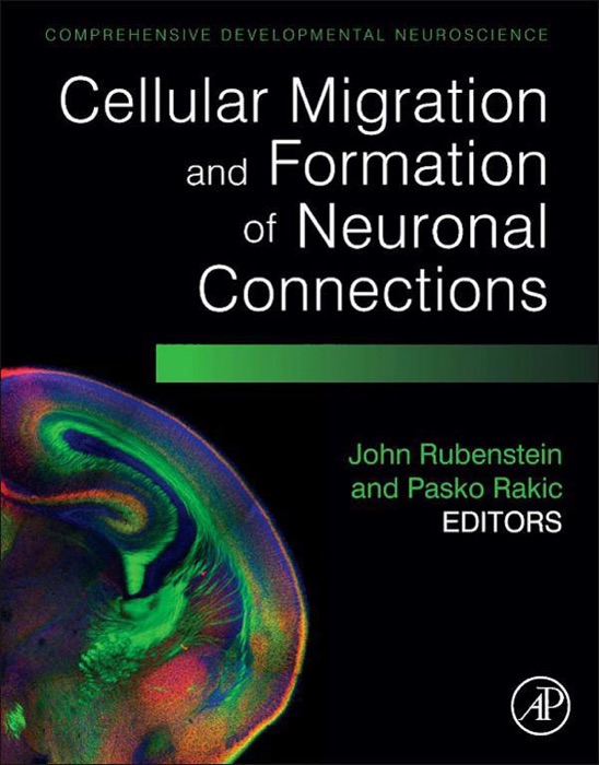 Cellular Migration and Formation of Neuronal Connections