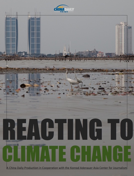 Reacting to Climate Change