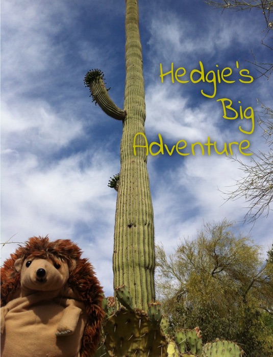 Hedgie's Big Adventure