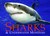 Sharks & Underwater Monsters - Paula Hammond