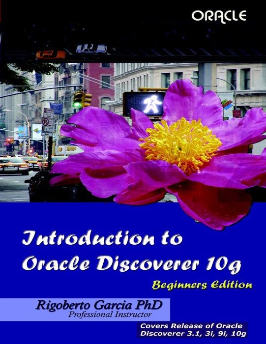 Introduction to Oracle Discoverer 10G