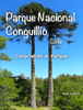 Parque Nacional Conguillío - Paola Schürch