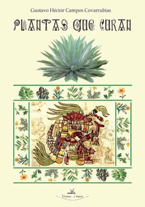 Plantas que curan