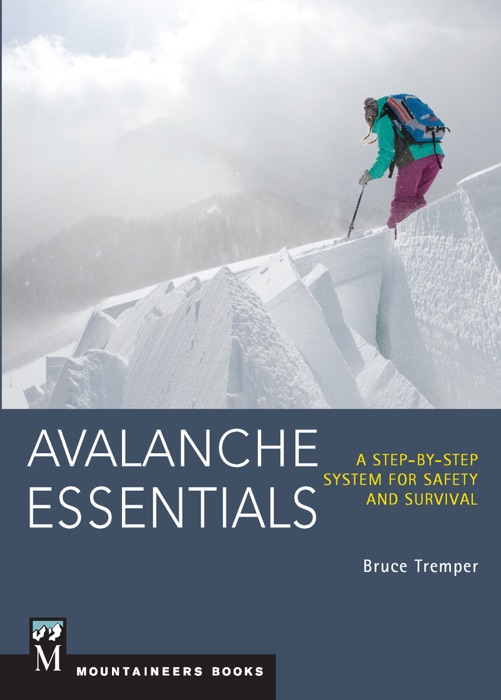 Avalanche Essentials