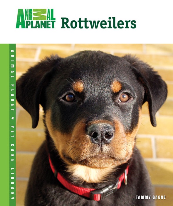 Rottweilers