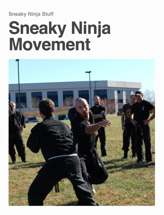 Sneaky Ninja Movement