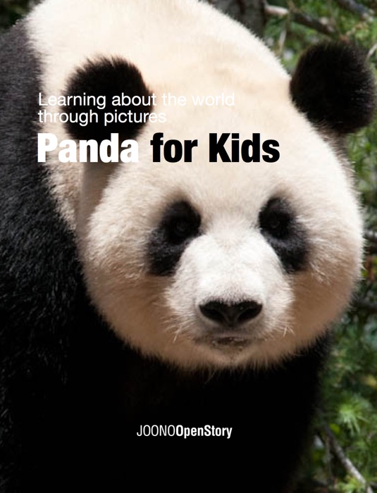 Panda for Kids