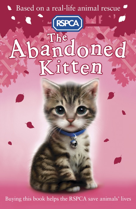 RSPCA: The Abandoned Kitten
