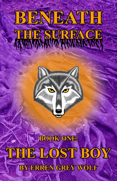 Beneath the Surface: The Lost Boy (Volume 1)