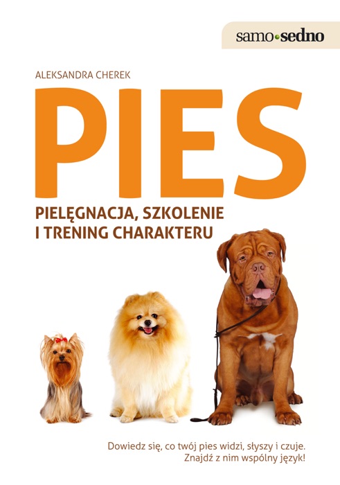 Pies Pielęgnacja, szkolenie i trening charakteru