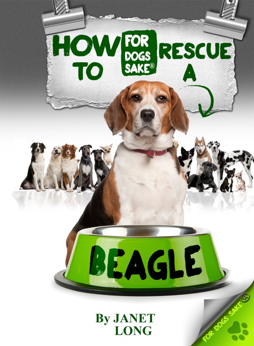 How to Rescue A Beagle