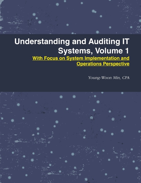 Understanding and Auditing IT Systems