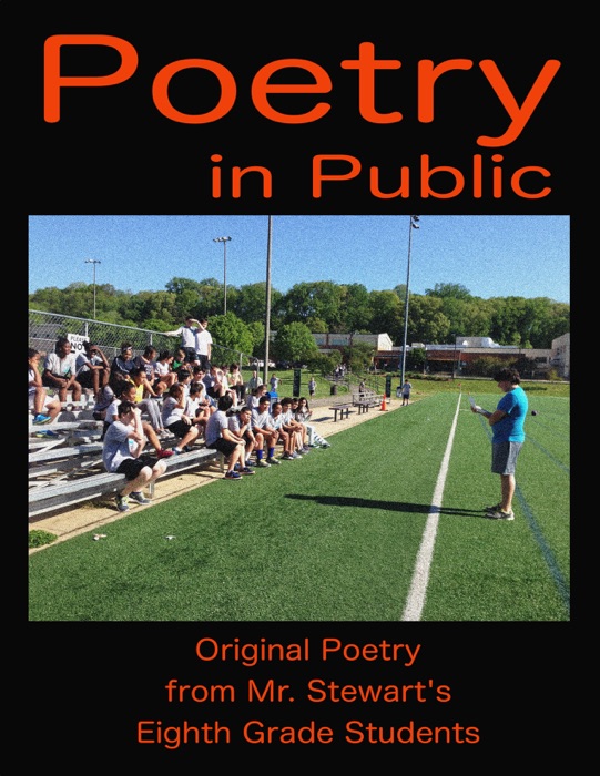 Poetry in Public 2013