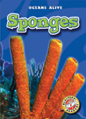 Sponges - Colleen Sexton