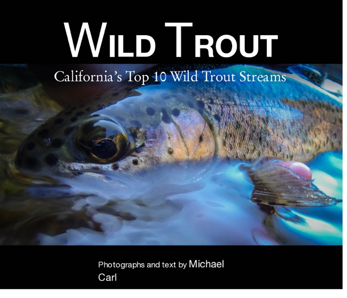 Wild Trout