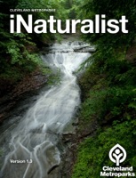 iNaturalist