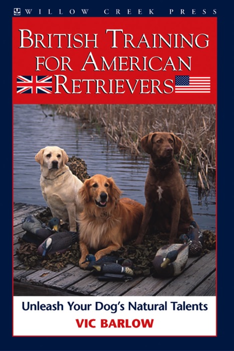 British Training for American Retrievers