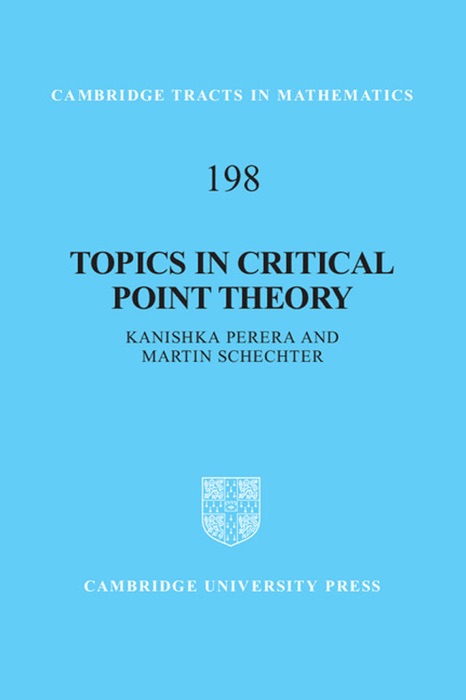 Topics in Critical Point Theory