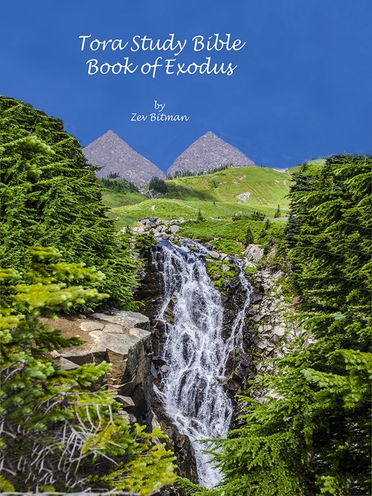 Tora Study Bible Book of Exodus