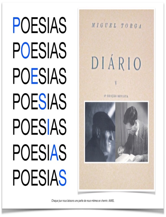 Poesias Diário V