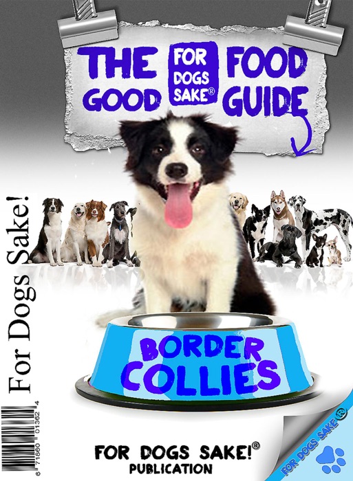 Border Collie Good Food Guide