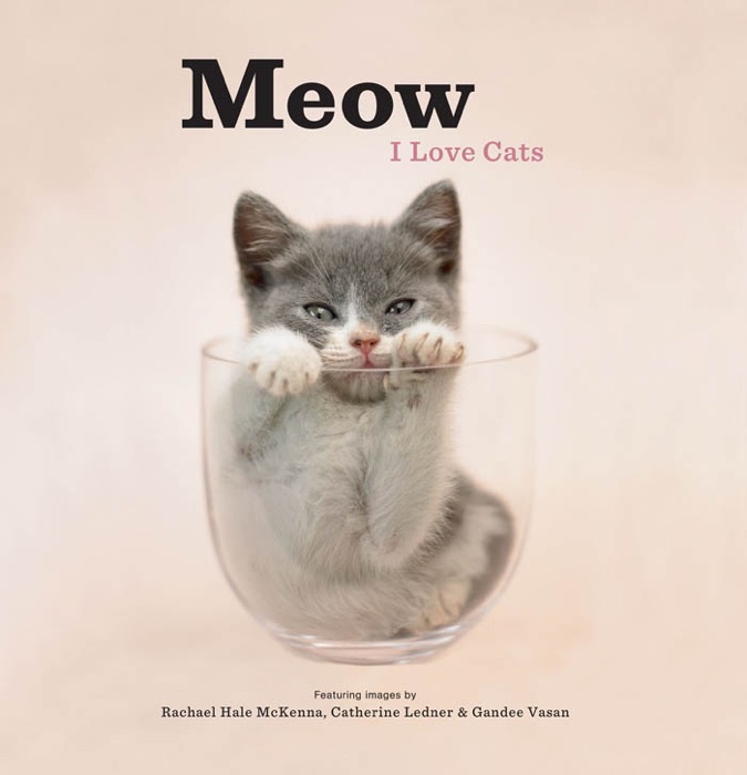 Meow: I Love Cats