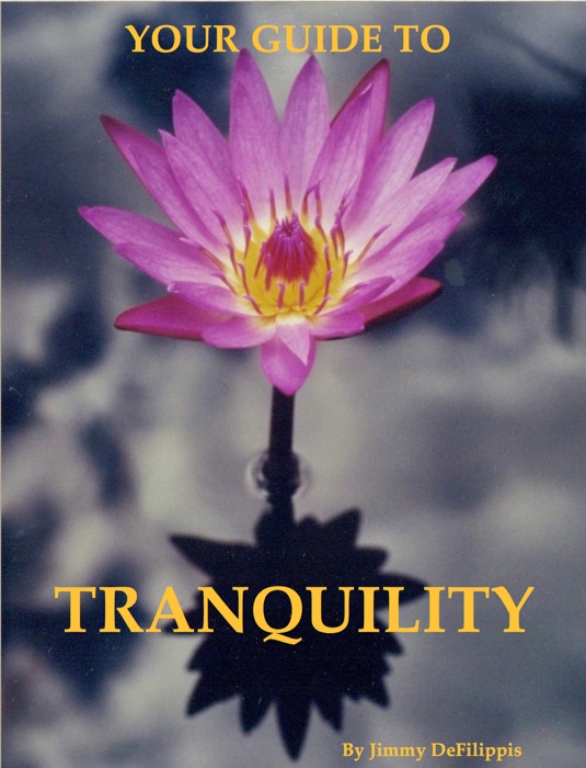 Your Guide to Tranquility