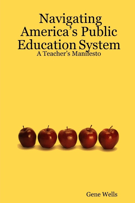 Navigating America's Public Education System