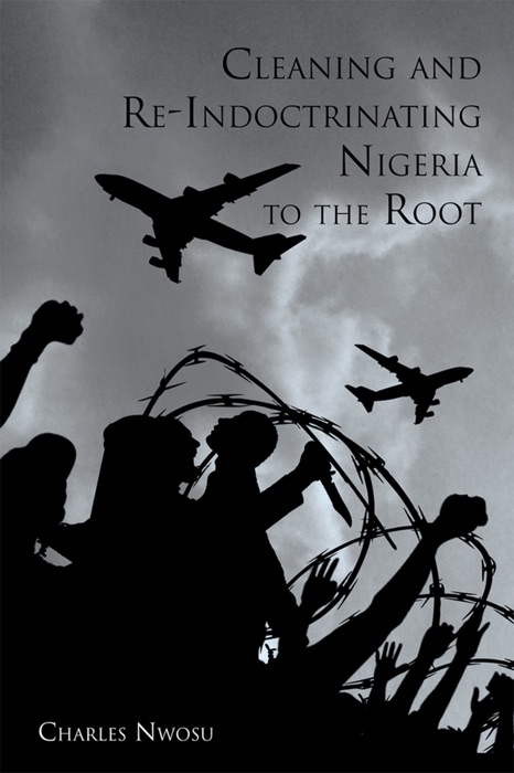 Cleaning and Re-Indoctrinating Nigeria to the Root