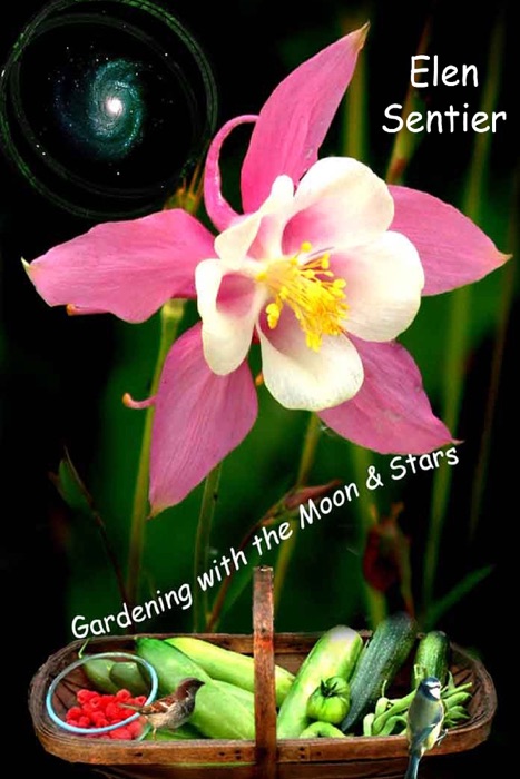 Gardening with the Moon & Stars