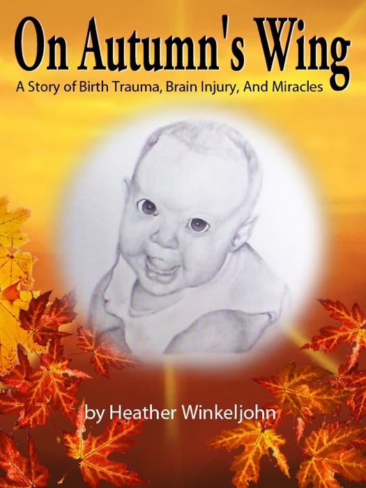 On Autumn's Wing, A Story of Birth Trauma, Brain Injury and Miracles.