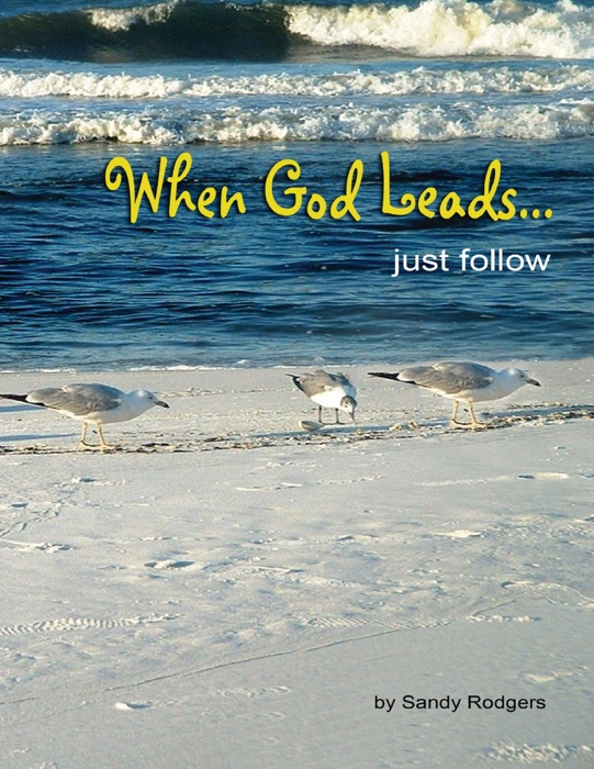 When God Leads . . . Just Follow
