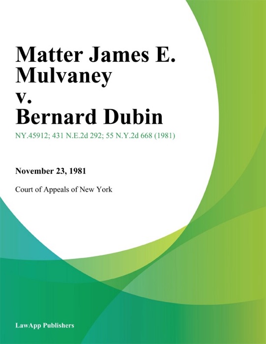 Matter James E. Mulvaney v. Bernard Dubin
