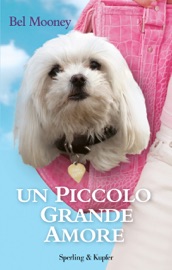 UN PICCOLO GRANDE AMORE