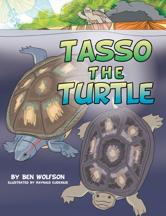 Tasso The Turtle