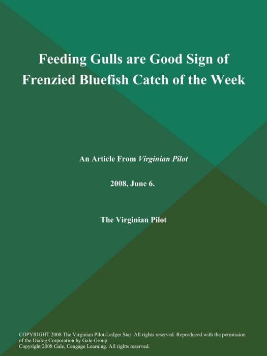 Feeding Gulls are Good Sign of Frenzied Bluefish Catch of the Week