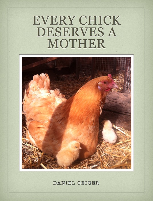 Every Chick Deserves a Mother