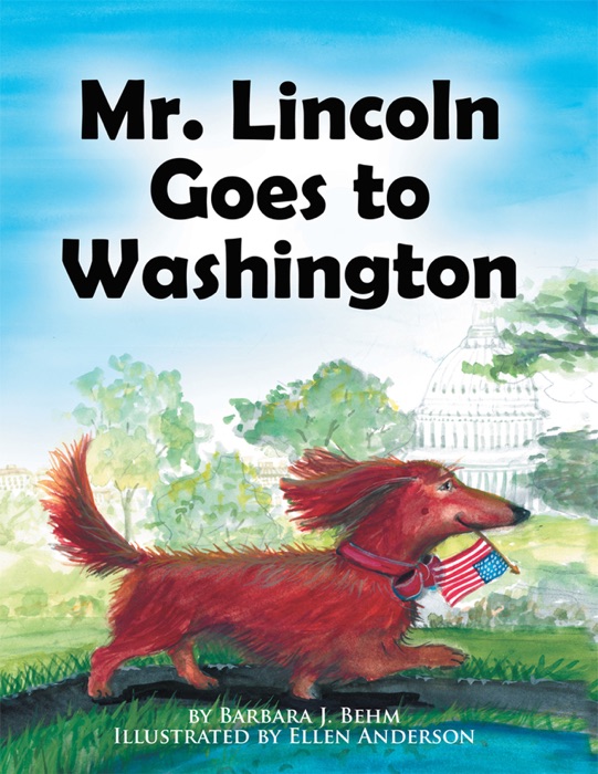 Mr. Lincoln Goes To Washington