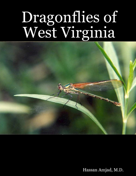 Dragonflies of West Virginia
