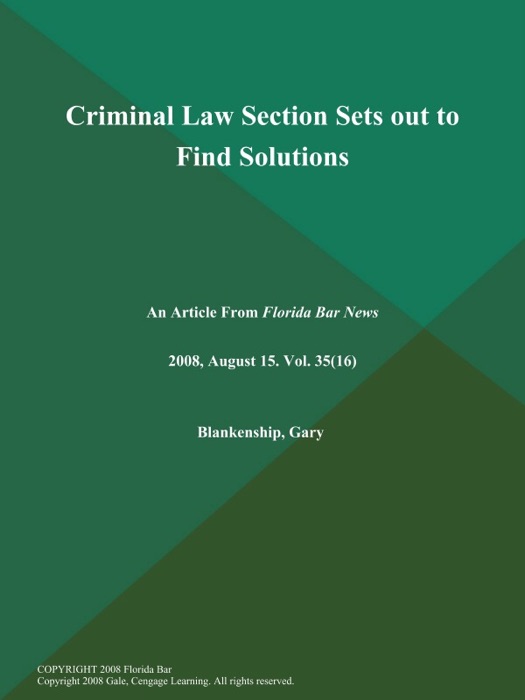 Criminal Law Section Sets out to Find Solutions