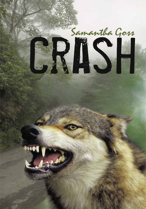 Crash