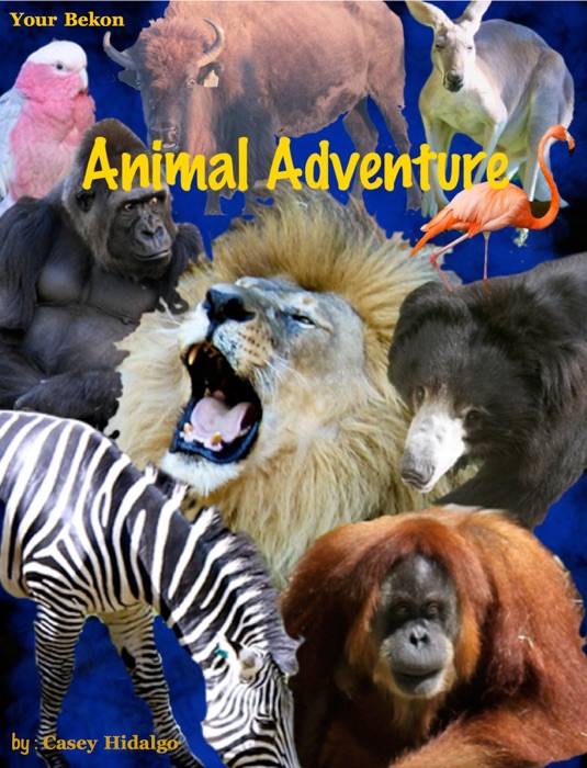 Animal Adventure