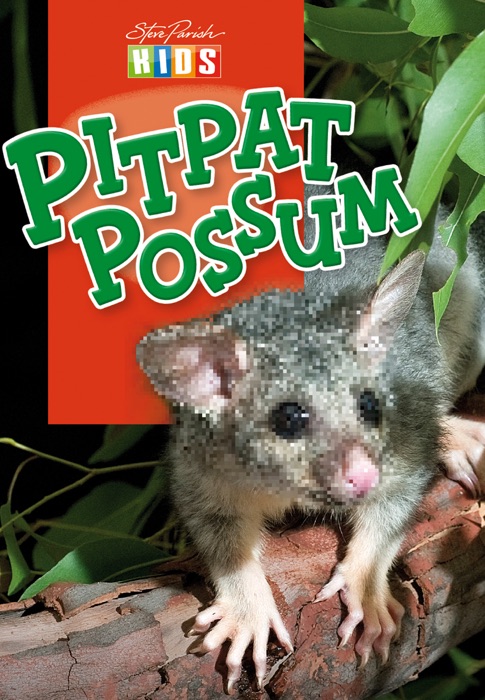 Pitpat Possum